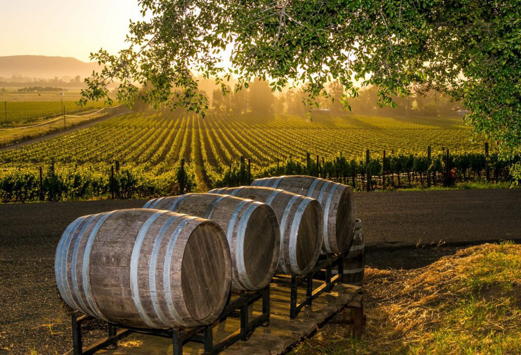 Wineries & Vineyard on Long Island