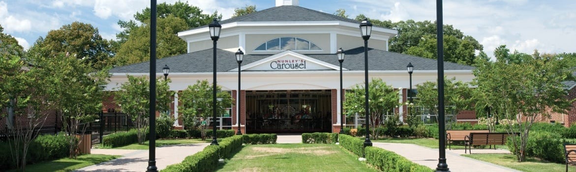 Fun kid birthday party ideas in Long Island NY - Metro Limousine Service